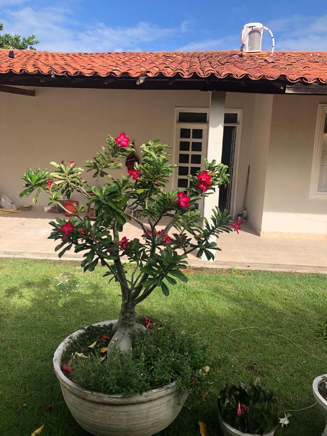 Caroa Piranhas Suites Exterior foto